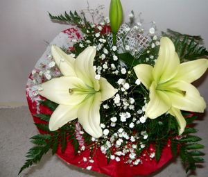 Preview wallpaper lilies, babys breath, fern, flower, decoration