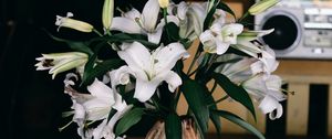 Preview wallpaper lilies, bouquet, flowers, vase, aesthetics