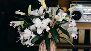 Preview wallpaper lilies, bouquet, flowers, vase, aesthetics