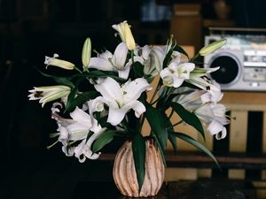 Preview wallpaper lilies, bouquet, flowers, vase, aesthetics