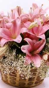 Preview wallpaper lilies, flowers, basket, lots