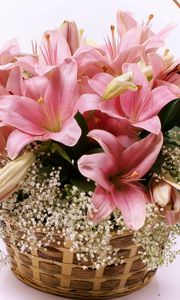 Preview wallpaper lilies, flowers, basket, lots