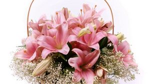 Preview wallpaper lilies, flowers, basket, lots