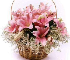 Preview wallpaper lilies, flowers, basket, lots