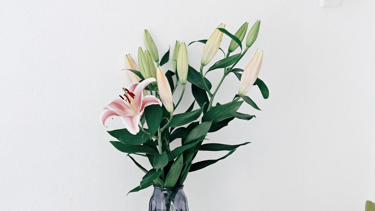 Wallpaper lilies, flowers, bouquet, vase, interior hd, picture, image