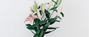 Preview wallpaper lilies, flowers, bouquet, vase, interior