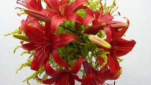 Preview wallpaper lilies, flowers, bouquet, stamen, close-up