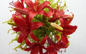 Preview wallpaper lilies, flowers, bouquet, stamen, close-up