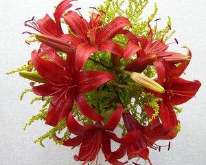 Preview wallpaper lilies, flowers, bouquet, stamen, close-up