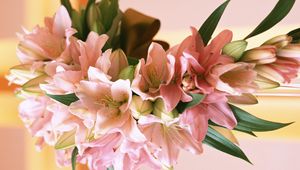 Preview wallpaper lilies, flowers, bouquets, composition, leaf, design