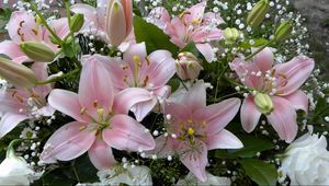 Preview wallpaper lilies, flowers, gypsophila, bouquet, buds