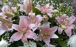 Preview wallpaper lilies, flowers, gypsophila, bouquet, buds