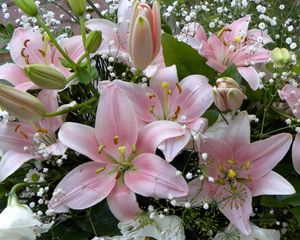 Preview wallpaper lilies, flowers, gypsophila, bouquet, buds