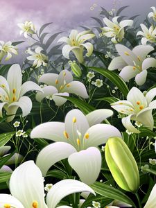 Preview wallpaper lilies, flowers, meadow, bud, stamens, sky