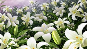 Preview wallpaper lilies, flowers, meadow, bud, stamens, sky