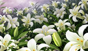 Preview wallpaper lilies, flowers, meadow, bud, stamens, sky