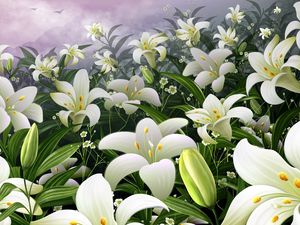 Preview wallpaper lilies, flowers, meadow, bud, stamens, sky