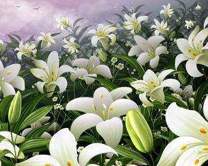 Preview wallpaper lilies, flowers, meadow, bud, stamens, sky