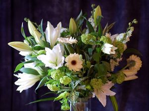 Preview wallpaper lilies, gerbera, flower, bouquet, leaves, song, vase