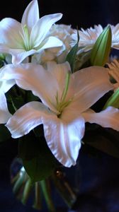 Preview wallpaper lilies, gerbera, flower, bouquet, white