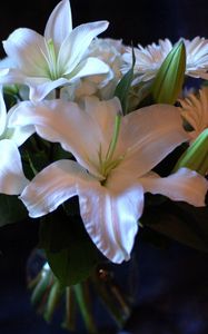 Preview wallpaper lilies, gerbera, flower, bouquet, white