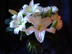 Preview wallpaper lilies, gerbera, flower, bouquet, white