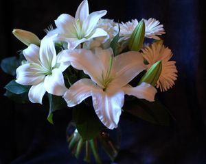 Preview wallpaper lilies, gerbera, flower, bouquet, white