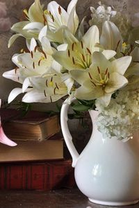 Preview wallpaper lilies, hydrangeas, flower, book, vase, peas, notes