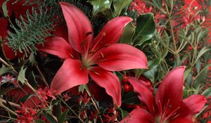 Preview wallpaper lilies, red, bouquet