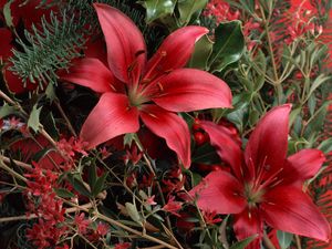 Preview wallpaper lilies, red, bouquet