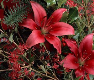 Preview wallpaper lilies, red, bouquet