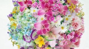 Preview wallpaper lilies, roses, carnations, daisies, flowers, bouquets, balloon, tenderness