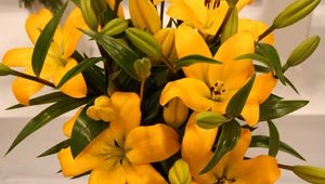 Preview wallpaper lilies, yellow, flowers, buds, leaves
