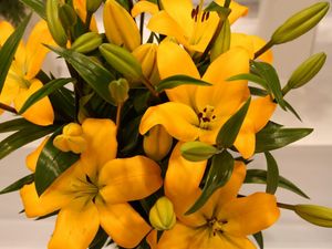 Preview wallpaper lilies, yellow, flowers, buds, leaves
