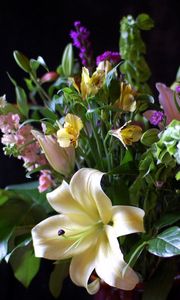 Preview wallpaper lily, alstroemeria, flowers, flower, leaves, song