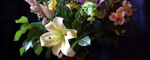 Preview wallpaper lily, alstroemeria, flowers, flower, leaves, song