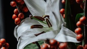 Preview wallpaper lily, flower, white, berry, plant