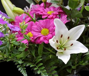 Preview wallpaper lily flowers, bouquets, ferns, herbs, close-up, composition