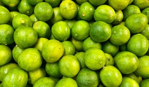Preview wallpaper lime, fruit, citrus