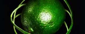 Preview wallpaper lime, lanes, macro, fruit, green, citrus