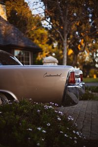 Preview wallpaper lincoln continental, car, retro, side view