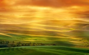 Preview wallpaper line, shape, plateau, field, sunset, light