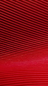 Preview wallpaper lines, curves, texture, red