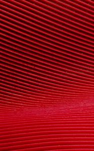 Preview wallpaper lines, curves, texture, red