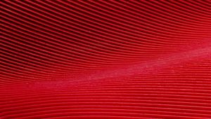 Preview wallpaper lines, curves, texture, red