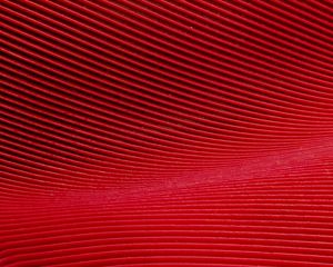 Preview wallpaper lines, curves, texture, red