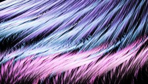 Preview wallpaper lines, feathers, shape, luster