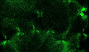 Preview wallpaper lines, glow, abstraction, plexus, green