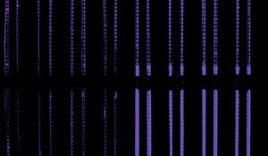 Preview wallpaper lines, purple, black, vertical, dark