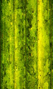 Preview wallpaper lines, stripes, green, background, abstraction